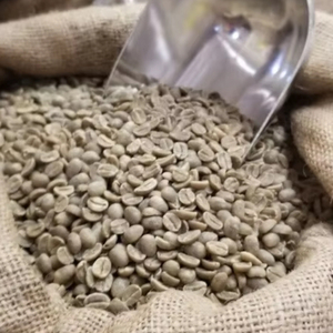 Granos de Café Verde Robusta de Especialidad, Tamaño 18, Grado G1 G2, Marca TNFOOD, 100% Natural, Exportación a Granel desde Fábrica en Vietnam - Product Image 1
