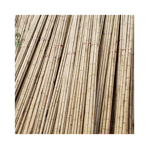Sistema di supporto affidabile: pali di bambù spessi e forti