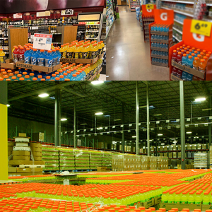 Bebidas energéticas Gatoradee al por mayor - Product Image 5