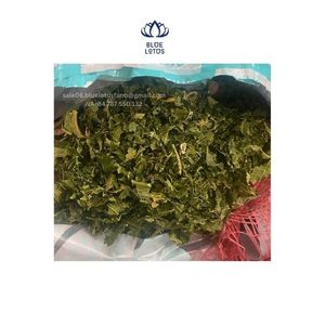 ใบมะละกอสำหรับผู้ชายแบบธรรมชาติจำนวนมากส่งจากเวียดนามผู้ส่งออก // Hani - Product Image 1