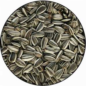 <b>Sunflower</b> Seeds <b>Kernels</b> / GMO <b>Sunflower</b> Seeds for Sale / <b>Sunflower</b> Seeds for Oil Seeds <b>Sunflower</b> <b>Sunflower</b> Seeds <b>Kernels</b> - Product Image 2