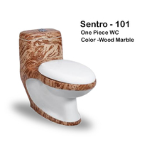Inodoro de Cerámica Moderno Sentro-101, Inodoro de Cerámica de Una Pieza con Descarga por Gravedad, Asiento de Inodoro Occidental, Artículos Sanitarios Modernos para Baño