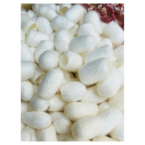 High Purity <b>Silkworm</b> Cocoon Natural Color Yellow White Raw <b>Silkworm</b> Cocoon Ideal for Silk Yarn Herbal Skincare and Textile - Product Image 1