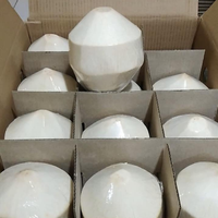 Premium kwaliteit, topklasse verse jonge kokosnoten, diamantvormig, 100% natuurlijk, VILACONIC merk, natuurlijk zoet, 0,5 kg, zomerse drankjes