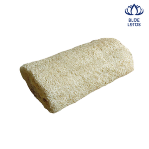 100% naturel personnalisé grand tampon à récurer faire au Viet Nam éponges de cuisine bio fruits légumes luffa éponge - Product Image 1