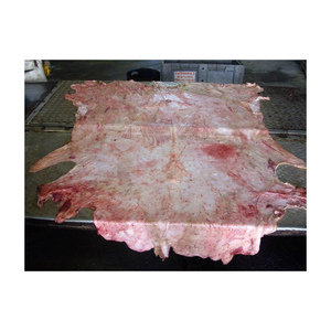 ซื้อหนังวัว/หนังวัวเค็มแบบเปียกหัววัวและหนังสัตว์ - Product Image 6