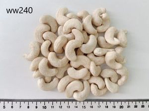 Nuevas Cosechas de Nueces de Anacardo de Vietnam, Granos Saludables Crudos de Primera Calidad, Precio de Fábrica, Etiquetado Privado, Muestra Gratuita - Product Image 3