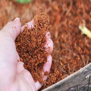 Customized 30x30x15cm Organic Cocopeat Block <b>for</b> <b>Plant</b> <b>Growing</b> Farming Agriculture Product Made in Vietnam - Product Image 6