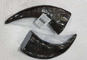 BUFFALLO HORN CARVED <b>DOG</b> ANIMAL ORGANIC MATERIAL CHEOO - Product Image 3
