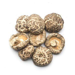 Seta Shiitake seca tamaño 2-5cm, seta seca hidratada a la venta, setas Shiitake - Product Image 6