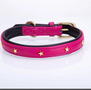 Collar de perro de cuero plano acolchado suave de curtiduría de PerA-Collar de perro de cuero verde de alta calidad de estrella para galgo y Whippet - Product Image 1