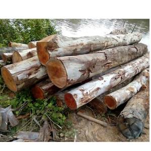 Pilier en bois utilisé dans la construction et le jardin fabriqué au Vietnam. - Product Image 3