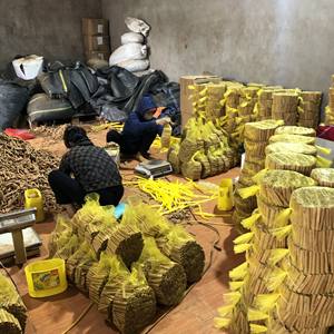 Rollos de canela 8cm de longitud Calidad de Grado Superior Dulce picante o decoración - Product Image 4