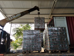 Bouchons de départ de graines Palette Semis Bloc de sol 5kg Tourbe de coco du Viet Nam Plantes de jardin Mousse de tourbe Pellets de coco coco - Product Image 6