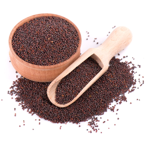 Graines de moutarde Sarson (graines noires) 1000g - Product Image 4