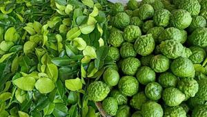 Les feuilles de citron vert kaffir à l'intérieur ajoutent une vraie saveur thaïlandaise à chaque repas - Product Image 2