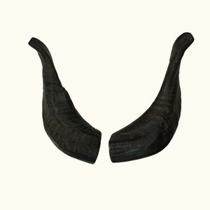 Noshahi cao cấp tự nhiên dê sừng chó nhai sinh thái thân thiện vật nuôi xử lý được thực hiện tại Ấn Độ bởi Enliven ở nước ngoài - Product Image 1