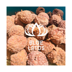 VENTE CHAUDE Naturel Doux Litchi Fruits Secs Sain Vegan Snack En Vrac Best Seller Vietnam Export - Product Image 1