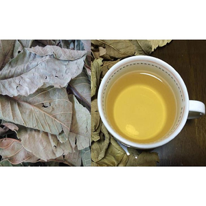 ใบฝรั่งหอมและสด/คุณภาพดีกว่า/คุ้มค่า/ผลิตในเวียดนาม - Product Image 6