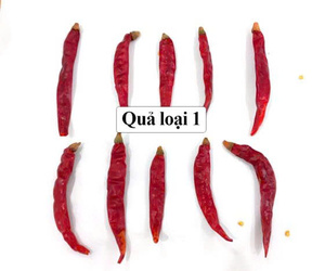 Chiles secos baratos a granel del proveedor Bao Tram Anh Vietnam - Product Image 1