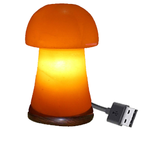 Lampes à sel en forme de palmier de l'Himalaya dans des tailles personnalisées, lampes à sel de l'Himalaya abordables, lampes à sel de l'Himalaya haut de gamme - Product Image 4