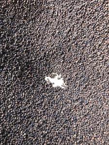 พริกไทยดำธรรมชาติสีธรรมชาติ - Product Image 3