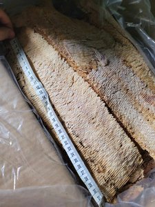 Rouleau de calmar séché de qualité supérieure, délicieux snack de fruits de mer, idéal pour les commandes de vente au détail et en gros, Mme Glory - Product Image 2