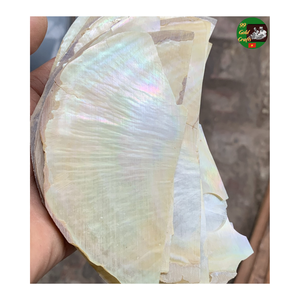 Feuille d'incrustation de nacre, feuille d'incrustation décorative de nacre, feuille d'incrustation de nacre naturelle pour l'exportation artisanale - Product Image 4
