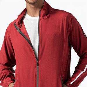 Nouveautés Survêtements pour hommes Ensemble de survêtements Vêtements de sport de haute qualité Tenue de sport élégante et confortable Deux pièces pour hommes - Product Image 5