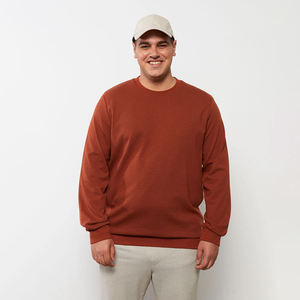 Sweat-shirt pour hommes 100% coton matériel léger sur mesure Logo impression solide col rond manches complètes OEM Servivce - Product Image 1