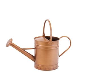 Bote de agua de metal antiguo de diseño ergonómico para entusiastas del jardín con alta capacidad y Caño de flujo de agua largo - Product Image 2