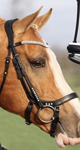 Bridon en cuir de cheval pur de haute qualité, personnalisé en gros, pour dressage, course de chevaux, équipement d'équitation, accessoires, portable et léger - Product Image 6