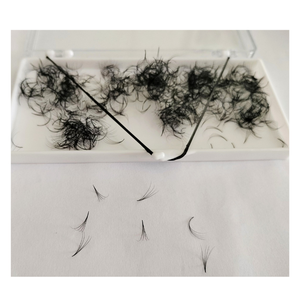 Extensions de cils synthétiques faites à la main, vente en gros, emballage en plateau pour la beauté, modèle facile Nhu Y Eyelash NY4D, volume complet 0.05-0.10mm - Product Image 3