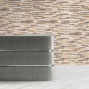 Carreaux muraux en porcelaine de 300x600 mm, série extérieure - Product Image 1