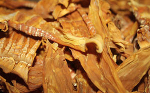 Brote de bambú seco de VIETNAM en Tet Holiday 2025 Cantidades a granel | Personalizar paquete para venta al por menor | Paquete al vacío - Product Image 6