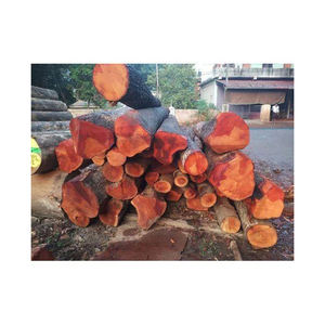 Grumes d'acajou solides fournies en vrac pour les meubles de plancher et les projets haut de gamme - Product Image 3