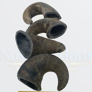 Friandise 100% naturelle et biologique pour chien en corne de buffle de qualité supérieure pour renforcer les mâchoires et soutenir la santé dentaire - Product Image 6