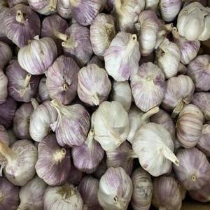 Ail séché thaïlandais unique, 100% naturel, durée de conservation de 12 mois - Product Image 5