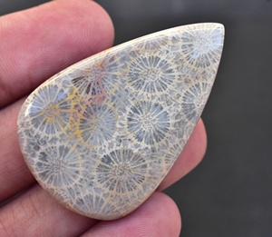 Meilleure qualité!!, Grade supérieure Cabochon de corail en pierre précieuse de fossile de corail, ample pour bague, bijoux en argent - Product Image 3