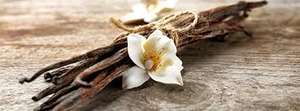 Manufacturers of Best Quality 100% Pure and 100% Natural <b>Vanilla</b> Essential <b>Oil</b> in Bulk Premium Best Grade HighQuality From India - Product Image 4