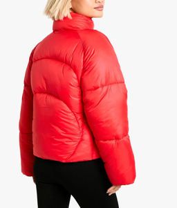Vestes matelassées pour femmes, design personnalisé 2026, hiver, chaudes, épaisses, tissu respirant, rembourrage en coton, col montant, boutonnées, style bulle - Product Image 5