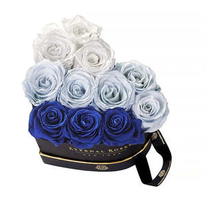 Caja de Regalo de Tela Chelsea con Diseño Azul y Blanco con Motivo de Plantas - Product Image 1