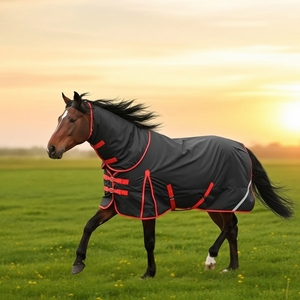 Alfombra ecuestre Premium, manta impermeable de cuerpo completo para la salida, manta de caballo, cuello desmontable ajustable ecuestre de verano e invierno - Product Image 2