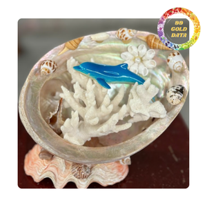 Concha de abulón de Vietnam | Uso para hacer artículos de bricolaje y decoración del hogar - Product Image 1