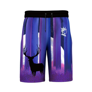 Pantalones cortos de hombre con logotipo personalizado de alta calidad, transpirables, sublimación, entrenamiento, Fitness, ropa atlética, pantalones cortos de sublimación deportivos de talla grande - Product Image 2