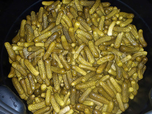 Concombre mariné du Vietnam, concombre en tranches de qualité supérieure, texture croquante, export en vrac, source d'usine fiable pour les importateurs mondiaux - Product Image 3