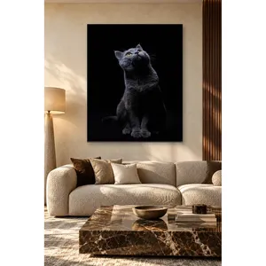 Impression sur toile de chat gris Fida regardant vers le haut sur fond noir - Product Image 2