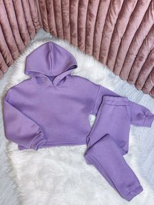 Survêtements pour hommes 2 pièces à manches longues athlétique Full Zip Sweatsuits Jogging Suit Set Casual Outdoor Streetwear Sport Tracksuit Set - Product Image 2