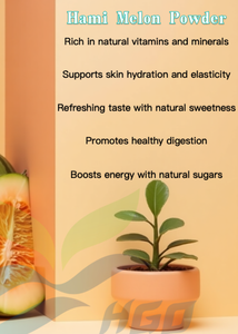 HGO Factory Fourniture directe de poudre de melon Hami naturel pur (qualité alimentaire) Spécification poudre de fruits (poudre de fruits ou de légumes) - Product Image 5