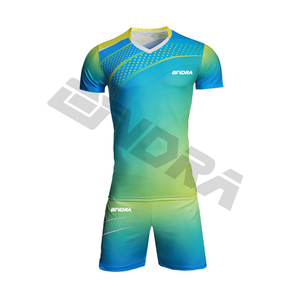 Uniformes de volley-ball hommes Shorts de volley-ball d'équipe vierges Femmes Sports hommes Combinaison d'entraînement sportif maillots de volley-ball Kits - Product Image 4